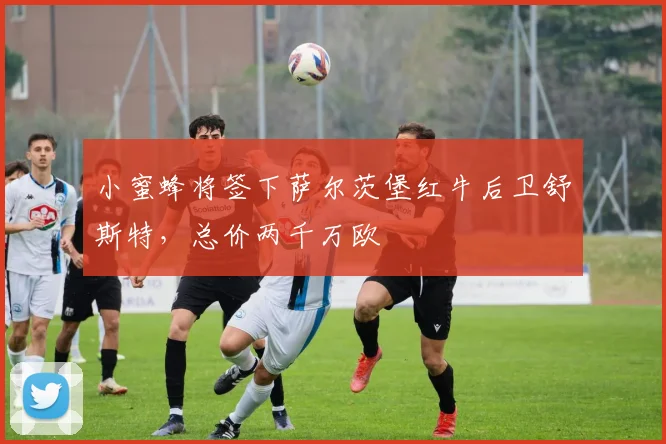 小蜜蜂将签下萨尔茨堡红牛后卫舒斯特，总价两千万欧