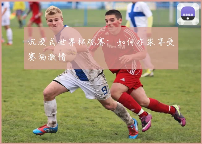 沉浸式世界杯观赛：如何在家享受赛场激情